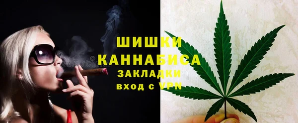 дурь Краснослободск