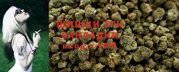 дурь Краснослободск