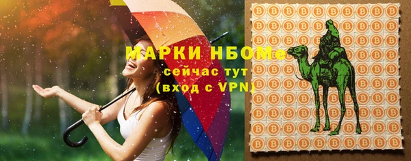 дурь Краснослободск