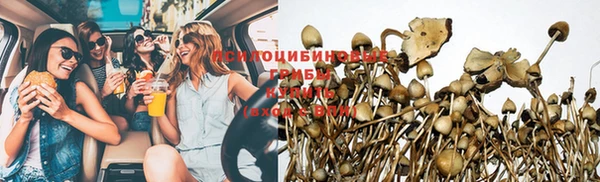 дурь Краснослободск
