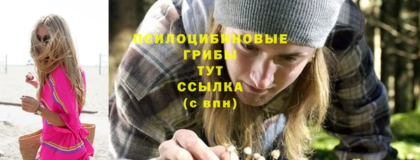 дурь Краснослободск