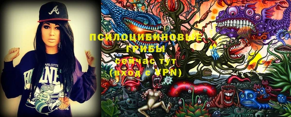 мдпв Краснотурьинск