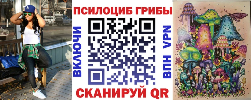 Купить  Грязи  Галлюциногенные грибы GOLDEN TEACHER 